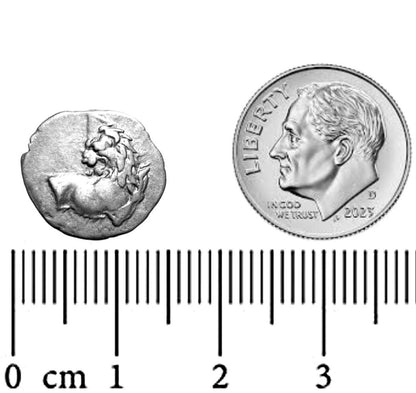 Chersonesos Ancient Greek Silver Hemidrachm Roaring Lion Solid Silver Restrike